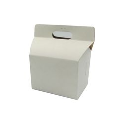 CAJA PAPAS FRITAS BLANCA 02