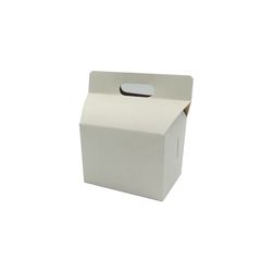 CAJA PAPAS FRITAS BLANCA CHICA 1