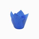 CAPS-TULIAZ7150