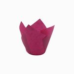 CAPS-TULIFU7150