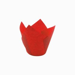 TULIPS ROJO 715050PAW