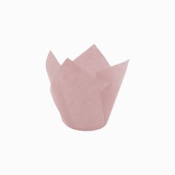 TULIPS ROSADO 715050PAW