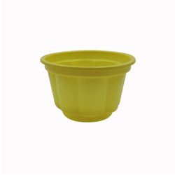 POTE GELATINERO COLOR S.G.