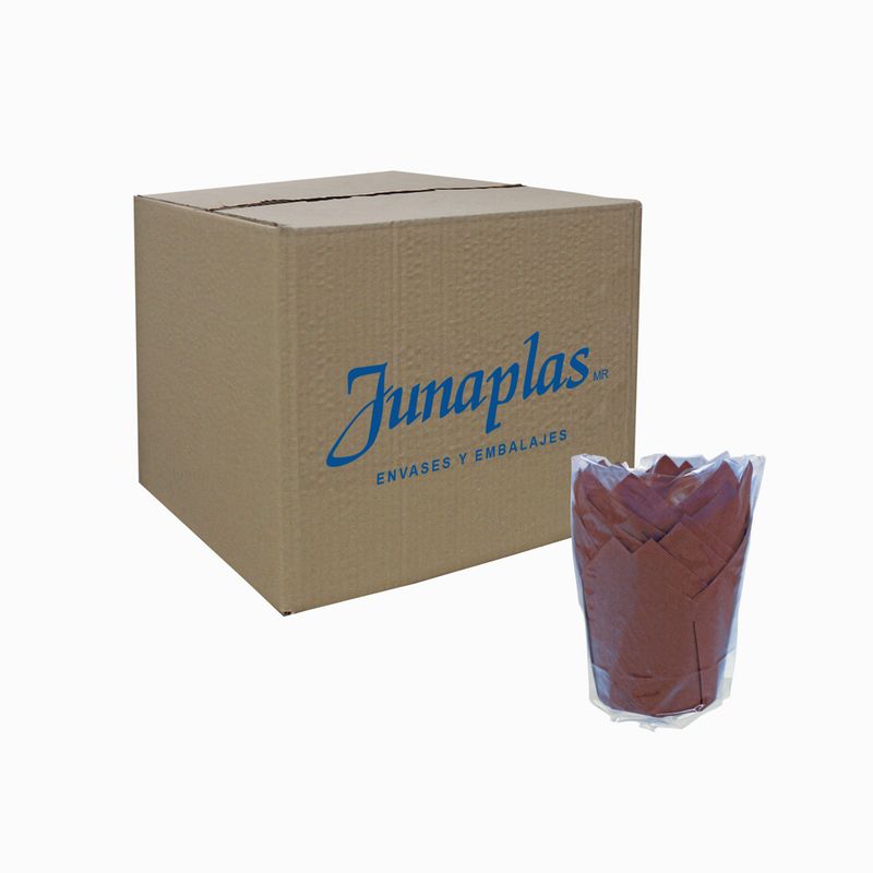 CAPS-TULICA7150-2