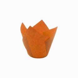 TULIPS NARANJA 715050PAW