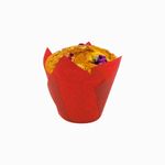 CAPS-TULIRO7150-1
