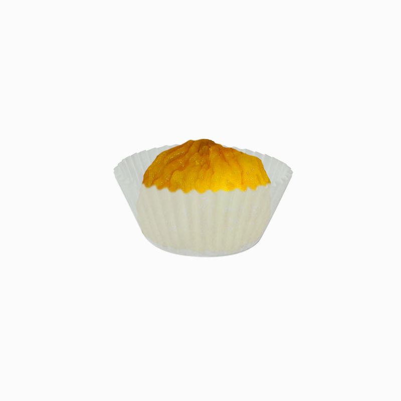 CAPS-05-1
