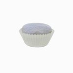 CAPS-06-1