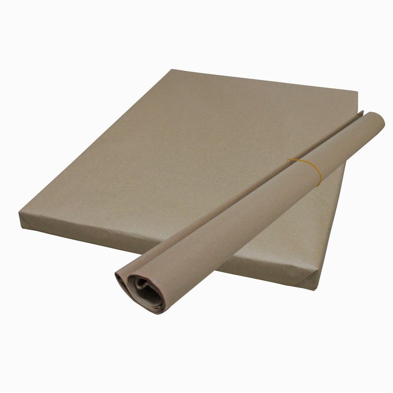 PAPL-EMBOLVER-1