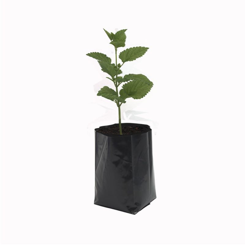 BOLA-30X35-1