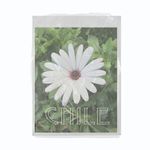 BOPP-30X50-1